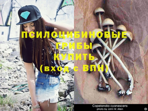 Альфа ПВП Михайловск