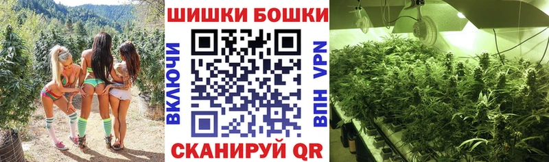 МЕГА зеркало Сунжа Конопля ГИДРОПОН